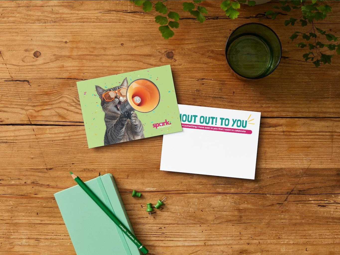Shout Out! - Postcards