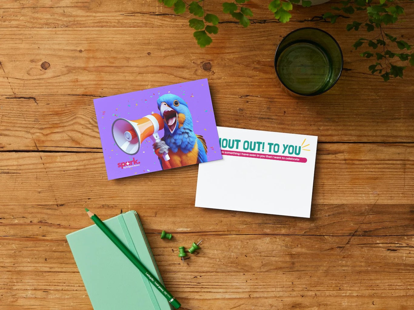 Shout Out! - Postcards